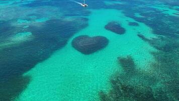 Aerial top view at Heart-shaped barrier reef. Caribbean Sea. Dominican Republic. video