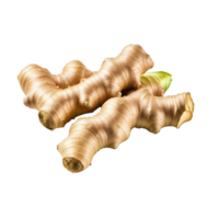 AI generated Ginger root isolated png