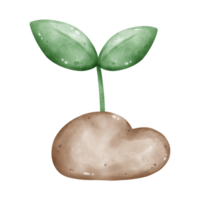 Illustration of plant png