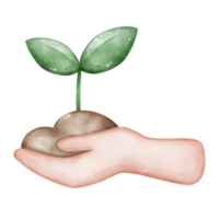 Illustration of hands holding a plant png