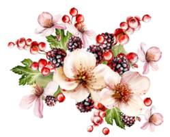 Watercolor festive bouquet of beautiful flowers and fruity blackberries with green leaves. Illustration png
