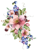 Watercolor festive bouquet of beautiful flowers and fruity blackberries with green leaves. Illustration png