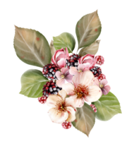 Watercolor festive bouquet of beautiful flowers and fruity blackberries with green leaves. Illustration png