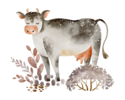 söt bruka djur. vattenfärg illustration av en tecknad serie ko. nötkreatur lantbruk. affisch för barns boskap. kalv, tjur rolig teckning. png