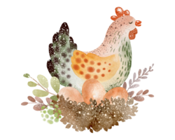 Watercolor illustration of bird. Farm animals cartoon poultry. Chicken, rooster and eggs cartoon Easter collection. Agriculture symbol hand drawn. png