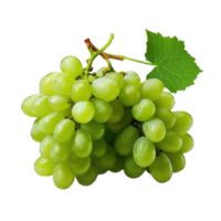 ai gerado grupo do branco uvas. em transparente fundo png