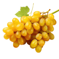 ai gerado grupo do roxa uvas isolado em transparente e branco fundo png