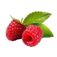 AI generated Raspberry Studio Shot Isolated on transparent Background, Food Photography, png