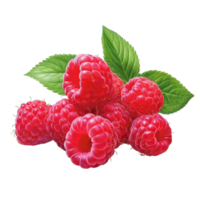 AI generated Raspberry Studio Shot Isolated on transparent Background, Food Photography, png