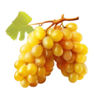 AI generated Bunch of purple grapes isolated on transparent and white background png