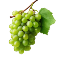 AI generated Bunch of white grapes. on transparent Background PNG