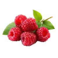 AI generated Raspberry Studio Shot Isolated on transparent Background, Food Photography, png