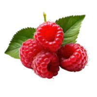 AI generated Raspberry Studio Shot Isolated on transparent Background, Food Photography, png