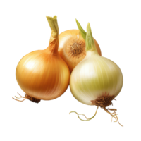 AI generated Onion Studio Shot Isolated on transparent Background Food Photography PNG