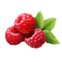 AI generated Raspberry Studio Shot Isolated on transparent Background, Food Photography, png