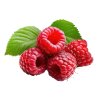 AI generated Raspberry Studio Shot Isolated on transparent Background, Food Photography, png