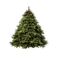 ai generiert Weihnachten Baum, Weihnachten Baum png