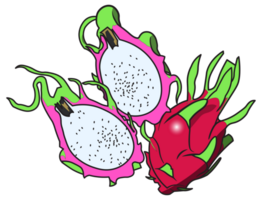 the dragon fruit png