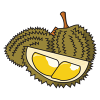 two whole durian and one slice png