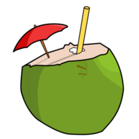 a coco de praia png