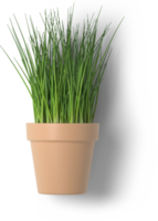 Creative layout with fresh potted chives isolated on plain background. png