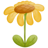 girasol acuarela entonces linda clipart png