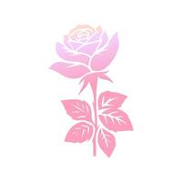 Rose flower of blooming plant. Garden rose isolated icon of pink blossom, petal and bud with green stem and leaf for romantic floral decoration, wedding bouquet and valentine greeting card vector