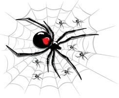 spider above a spider web, with scattered small spiders vector