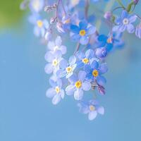 AI generated Springtime poetry Forget me not flowers blossom, creating a stunning macro composition For Social Media Post Size photo