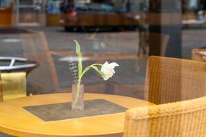 a white flower on a table in an empty restaurant photo