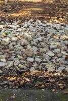 pile of rocks and leaves on the ground photo