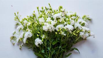 AI generated Beautiful bouquet of white flowers arranged on white background photo