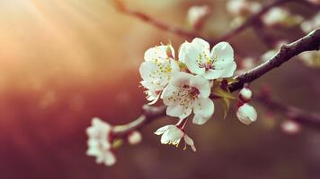 AI generated Spring blossom with retro toned background over blurred nature photo