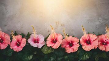 AI generated Sunlight highlights pink hibiscus flower border against textured background photo