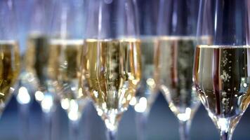 champagne in wine glasses. a sparkling wine. bubbles rise video