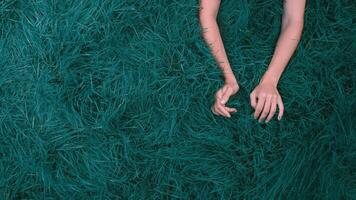 weiblich Hand. Mädchen berührt das Gras. Konzept von Frische und Vergnügen. Einheit mit Natur video