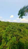 Dynamic FPV drone flight over the jungle. video