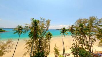 Drone flying close to coconut palm trees and over white sand beach on the island video