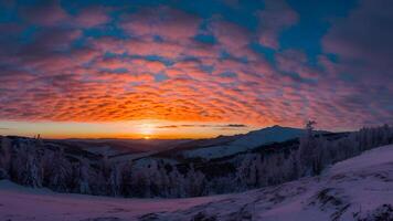 AI generated Year round sky panorama captures the beauty of changing seasons photo