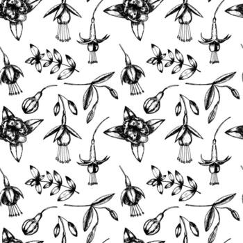 Vector fuchsia flowers seamless pattern. Hand drawn fuchsia flowers pattern on white background