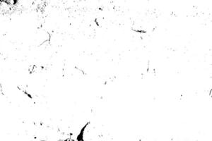 Flying debris with dust isolated. Grunge texture background, Dust overlay textured. Grain noise particles. Rusted white effect photo