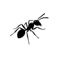 illustration with ant silhouettes isolated on white background vector