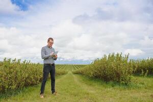 Modern agronomist with folder working on currant field at outdoor photo