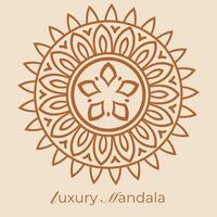 mandala background with a circular design vector