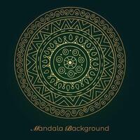 mandala background with a circular design vector