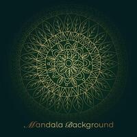 mandala background with a circular design vector