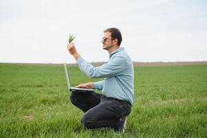 hombre granjero trabajando en un ordenador portátil en el campo. agrónomo examina el verde brote invierno trigo. foto