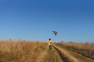 Little boy playing with kite on meadow. Childhood concept photo