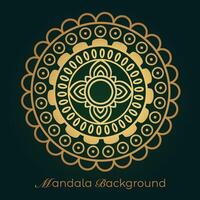 mandala background with a circular design vector