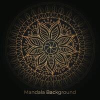 mandala background with a circular design vector